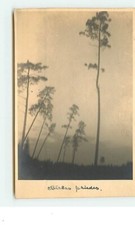 LIEPAJA - Barbas priedes - 11981