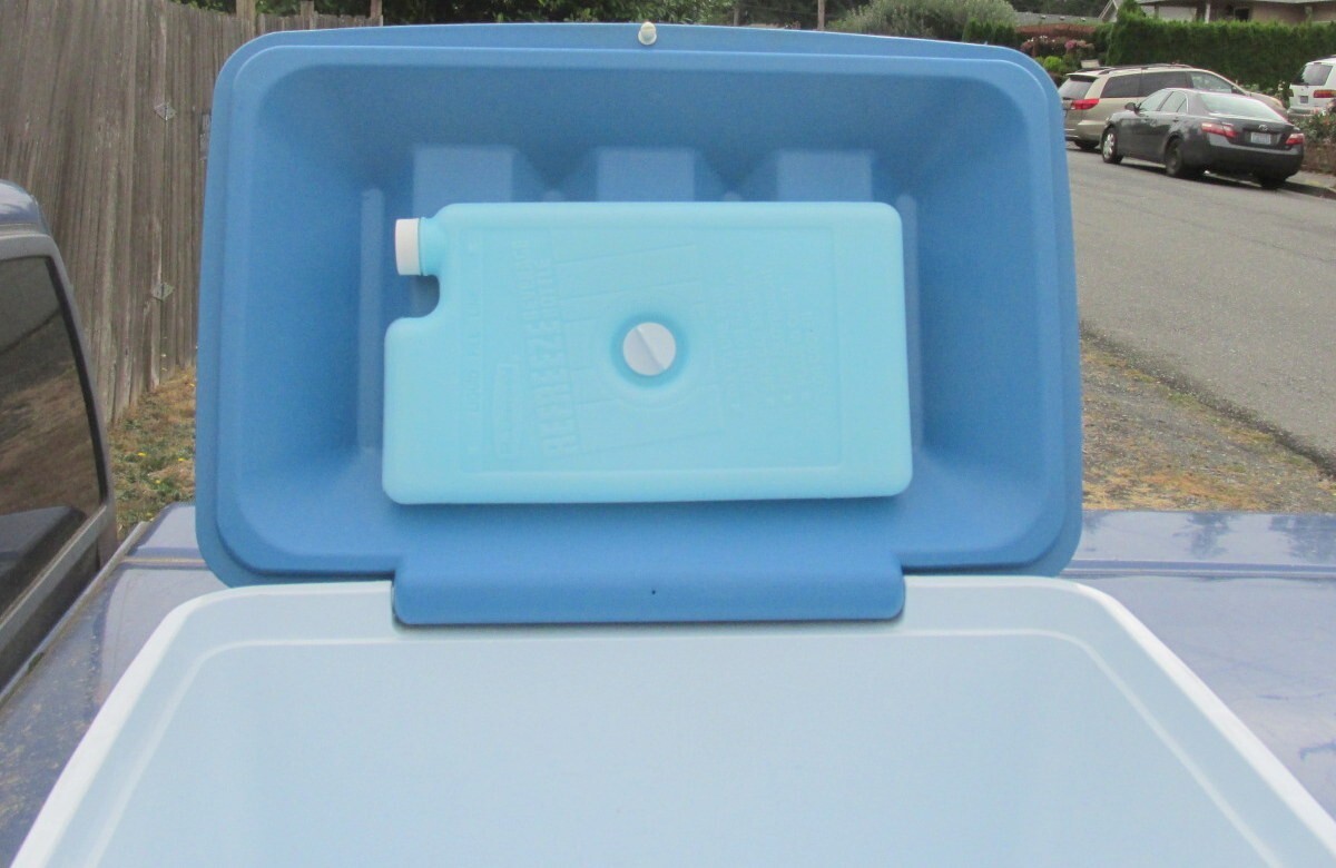 Vintage Blue Gott 1935 Ice Chest / Cooler with 8281 Refreeze Bottle EUC! eBay
