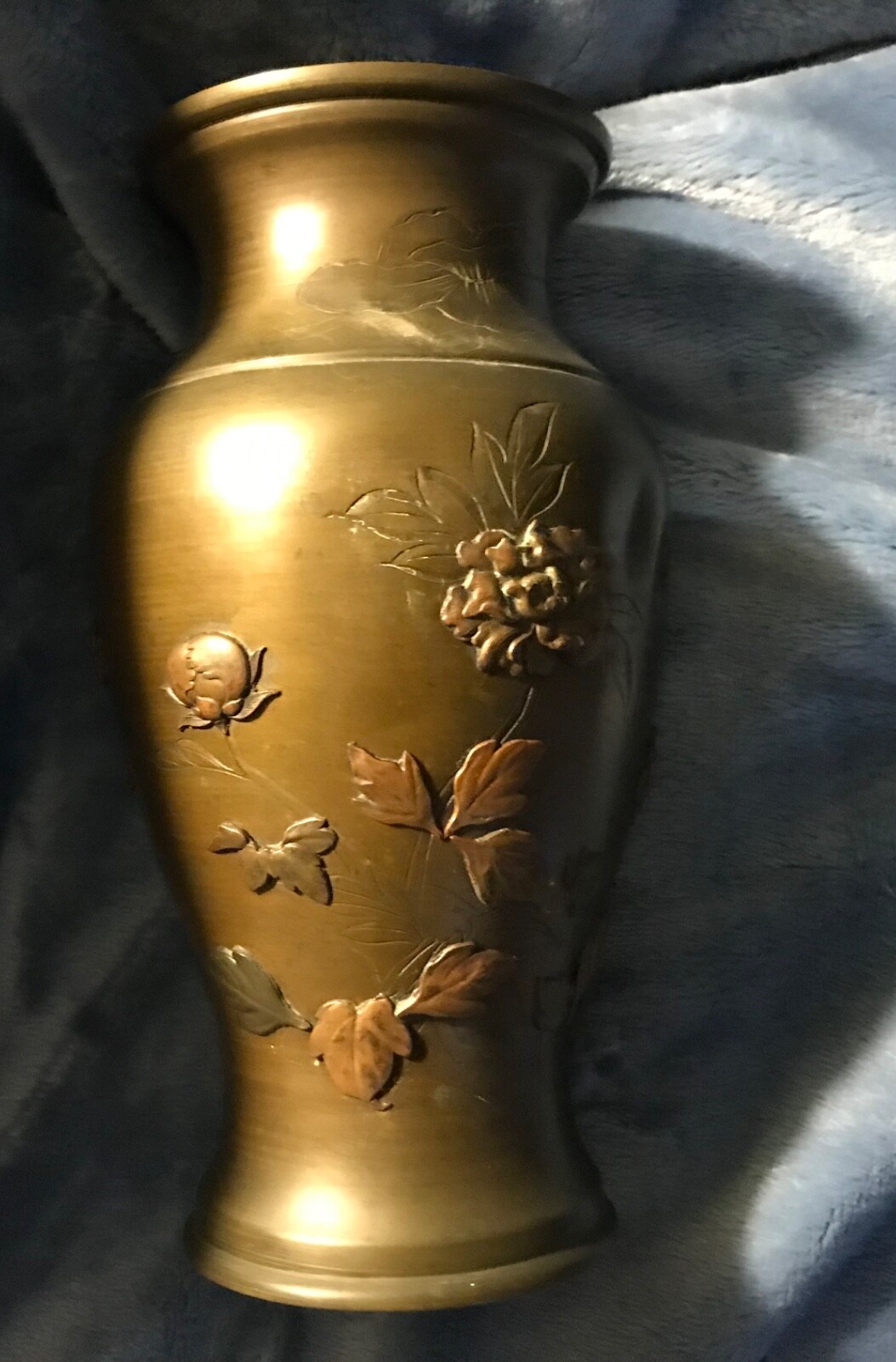 Picture 11 of 13