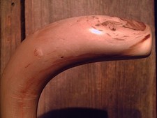 walking stick cane natural grown ROOT HANDLE for average size hands MADE IN USA