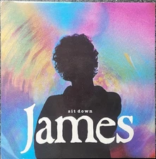 James sit down 1991 Uk Fontana Vinyl 12 " jim 812 Ex / Ex