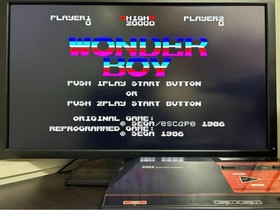 Working item Super rare SEGA Wonder Boy SEGA SG1000,SC3000