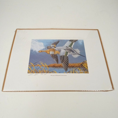 Gerald Putt Print 50 Years of Wetlands Conservation 95/100 Signed & Numbered