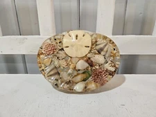 Acryllic Seashell Soap Dish
