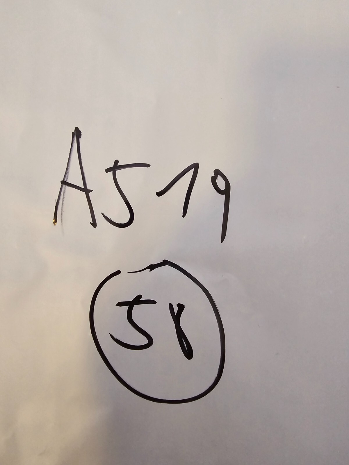 Bild 5 von 5