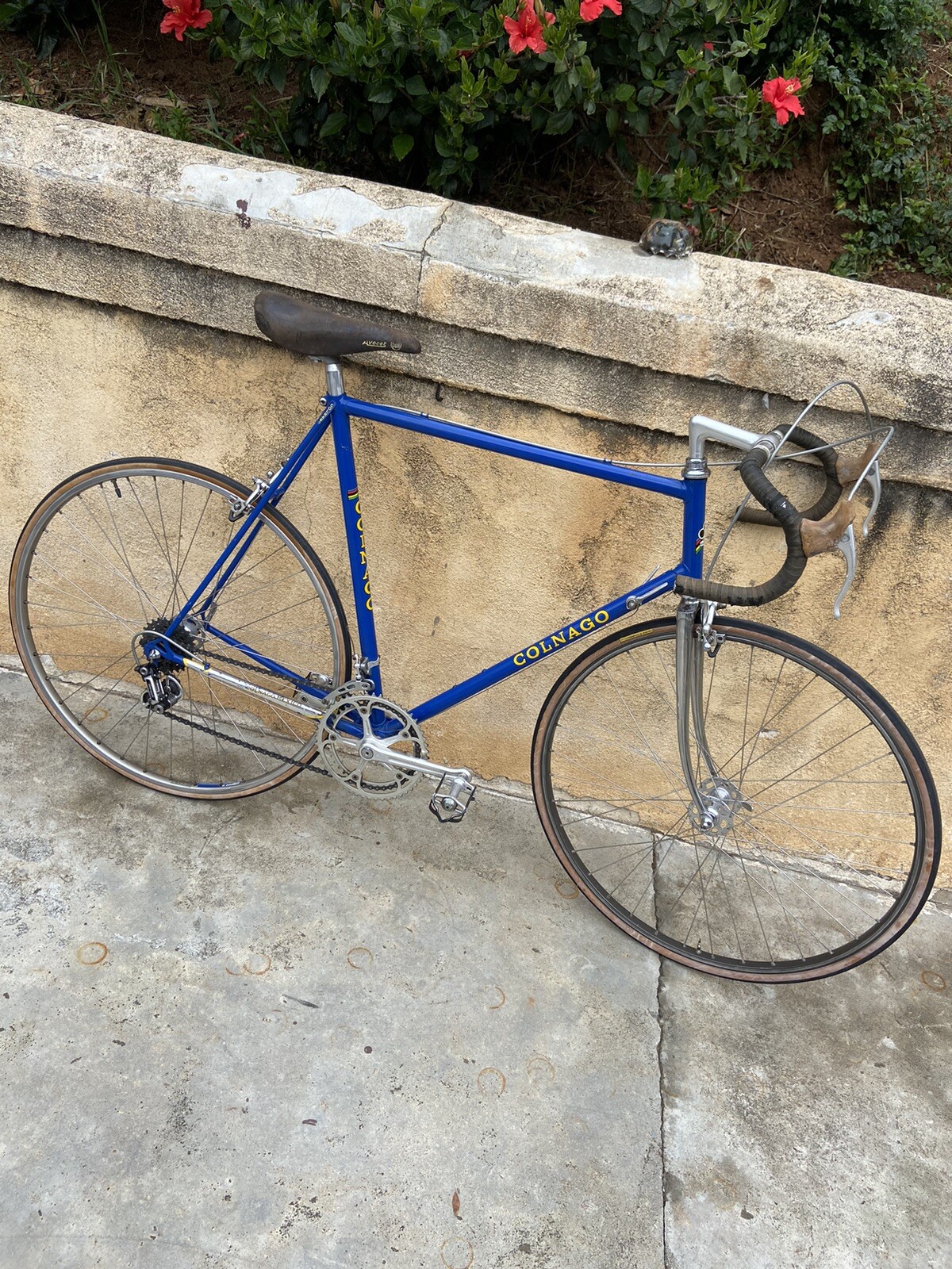 Vintage Colnago Mexico Road Bike 60 cm Campagnolo Components – PC Oner