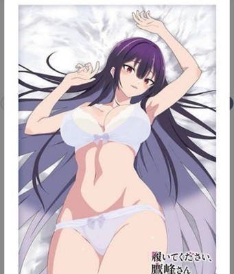 Please Put Them On, Takamine-san] [Takane Takamine] (Card Sleeve)