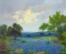 Texas Bluebonnets Landscapes Oil Painting Giclee Printed on canvas Wall Art Deco
