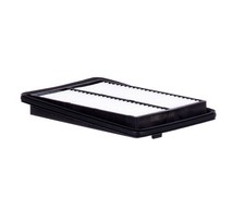 MANN-FILTER C 25 040 Filtro aria per RENAULT Kadjar (HA, HL) Koleos II (HC)