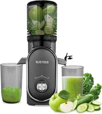SUSTEAS 300W Cold Press Juicer, 50Oz Capacity, Easy Clean, High Yield, Silver Gr