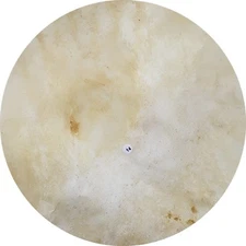 Banjo Snare Marching Dejembe Bodhran Frame Hand Drum 18" ROUND NATURAL Skin Head