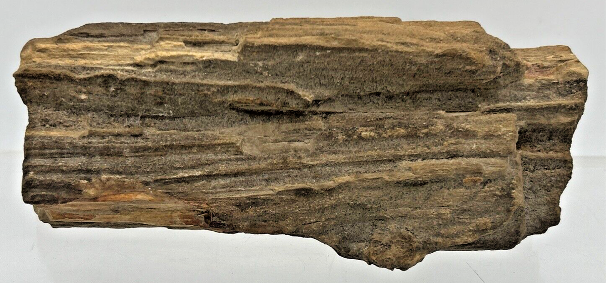 2点おまとめ Vintage petrified wood tray 2点おまとめ Vintage