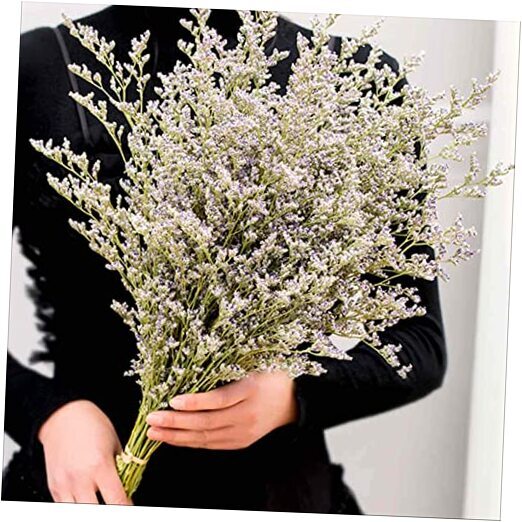 Dried Flowers Bouquet, Dry Caspia Flower Bundle, Floral Lavender, Babys Natural-image