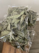 Dried Organic Fresh Mango Leaves 100 Pure Natural Leaf From Sri Lanka 4 Oz/112g