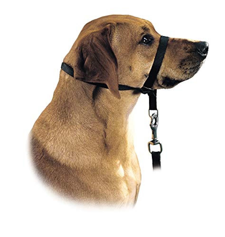 OFFERTA: HUNTER Follow Me XL Nero - La Pettorina Definitiva