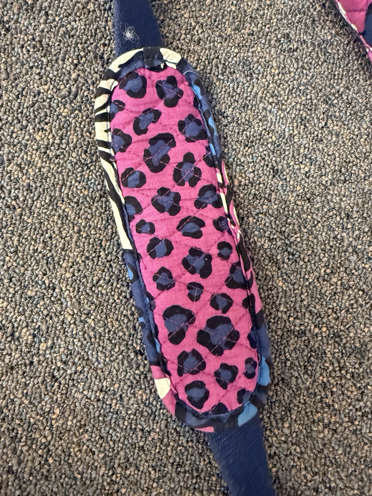 Picture 6 of 11