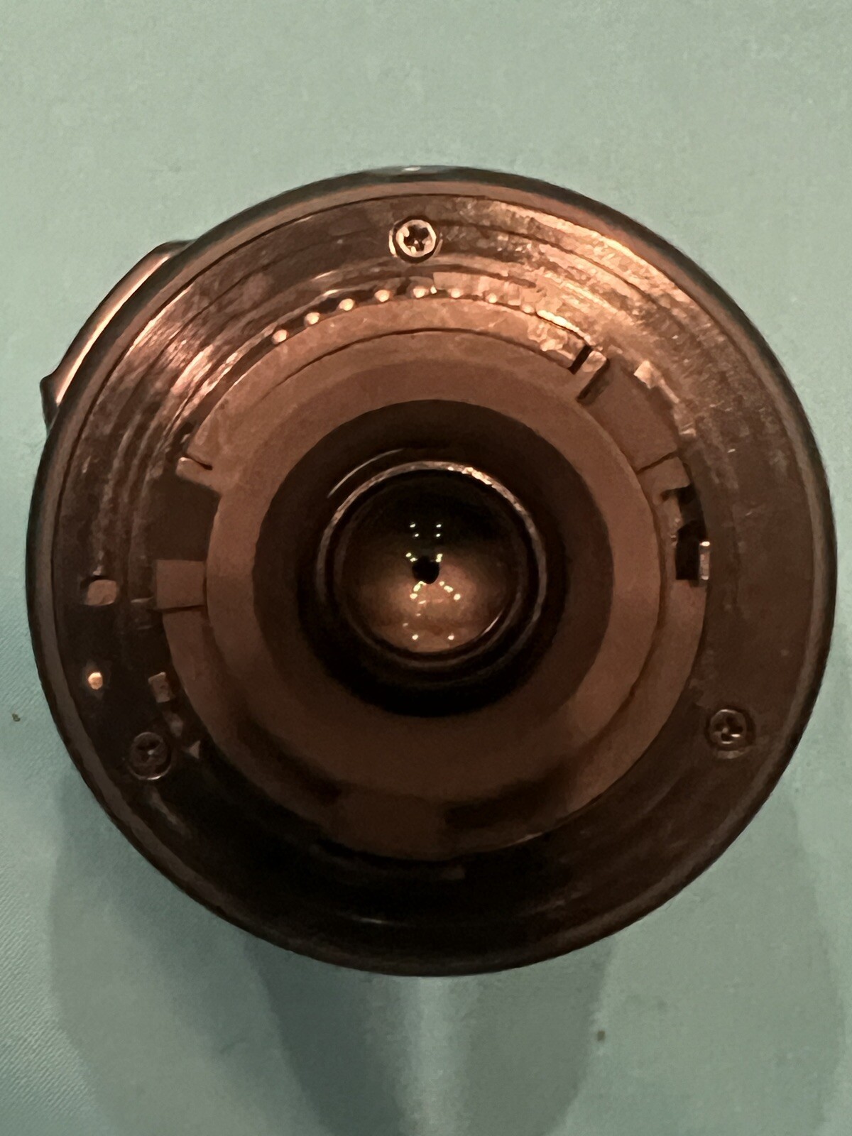 Picture 12 of 24