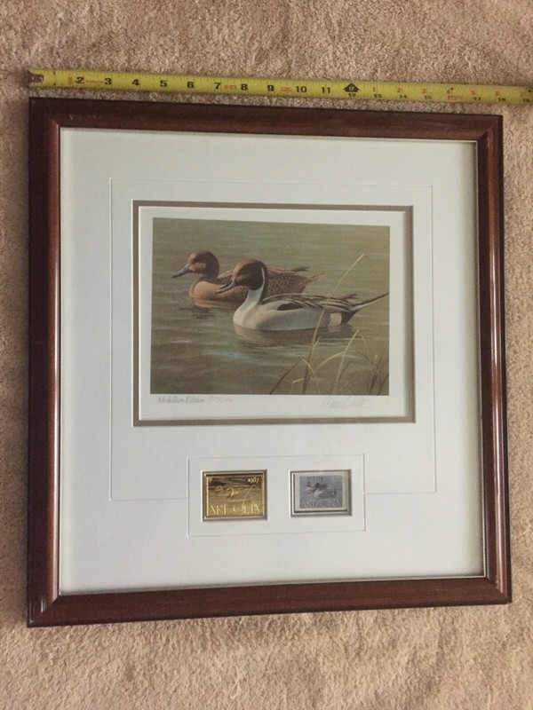1987 Arizona Gold Medallion State Duck Stamp & Print, Framed, Matted