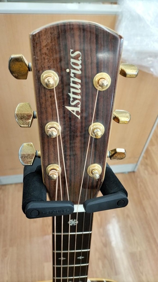 ASTURIAS Acoustic Guitar Herringbone Auditorium | eBay