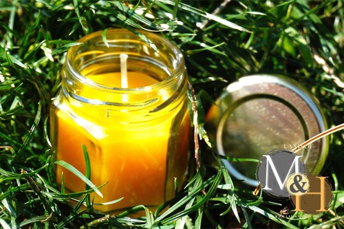 ๐ 100% Beeswax (3 Pack) Candles ๐ฏ๏ธ๐ฏ๏ธ๐ฏ๏ธ/ USA Honey Scent Long Burning ๐ - Picture 11 of 24