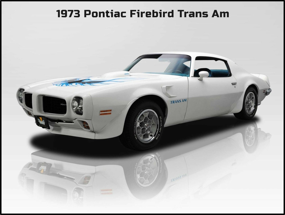 ギター V8 FUZZ 1973 PONTIAC FIREBIRD TRANS AM V8 Fuzz 1973 Pontiac Firebird Trans Am No.m256 | eBay