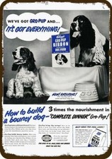 1950 KELLOGG'S DOG FOOD & English Springer Spaniel DECORATIVE REPLICA METAL SIGN