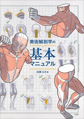 Art Guide Basic Manual of Art Anatomy Japanese Kota Kato w