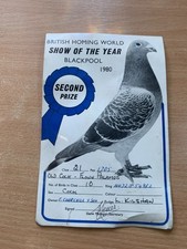 1980 PIGEON BRITISH HOMING WORLD SHOW OF THE YEAR BLACKPOOL 2ND PRIZE CERT (LL)