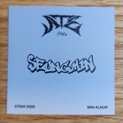 Seungmin Official Mini Lip Card Stray Kids ATE Accordion Version