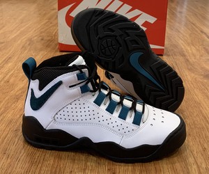 nike air darwin teal
