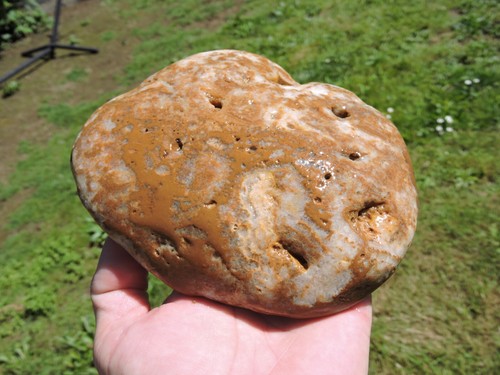 Natural FLAT AGATIZED Rhyolite Quartz Cobble Nodule (3 pounds) FRESH FIND 2025! - Picture 20 of 24