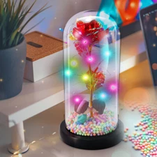 Crystal Galaxy Enchanted LED Glass Forever In Dome Rose Home Decoration Gift