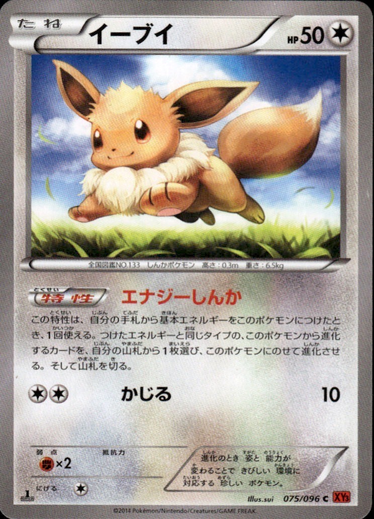 Eevee Common XY3: Rising Fist 075/096 NM 1st Ed.