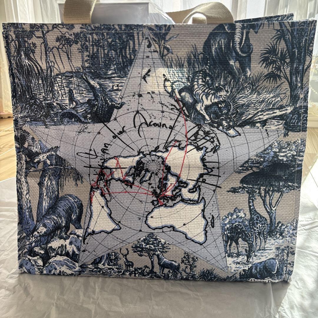 Dior 2024 Platinum Birthday Gift Tote Bag Limited Edition Authentic