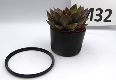 Marumi 105mm DHG Super Lens Protect Filter Optik Top Zustand Sicherheit