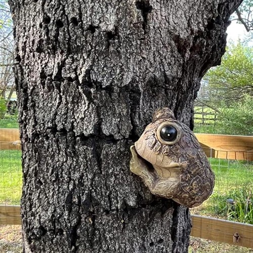 Tranquilo Rana Árbol Mirador Caras de Árbol Decoración Jardín Patio Árbol Esculturas Abrazador de Árbol - Imagen 8 de 10