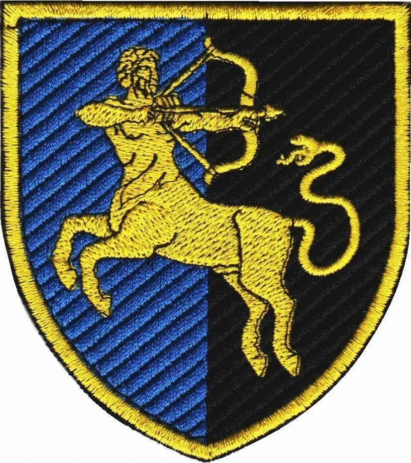 Patches of Various Ukrainian Army Units (Chevrons) 2014-2026