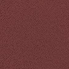 Bmw Red Fox Leather Dye