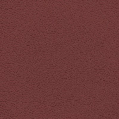 BMW Red Fox Leather Dye