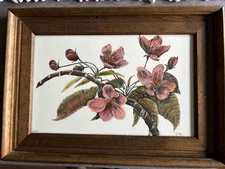 Nancy Bicknell Hand Tinted Etching Print Numbered Signed “Crabapple Blossom”