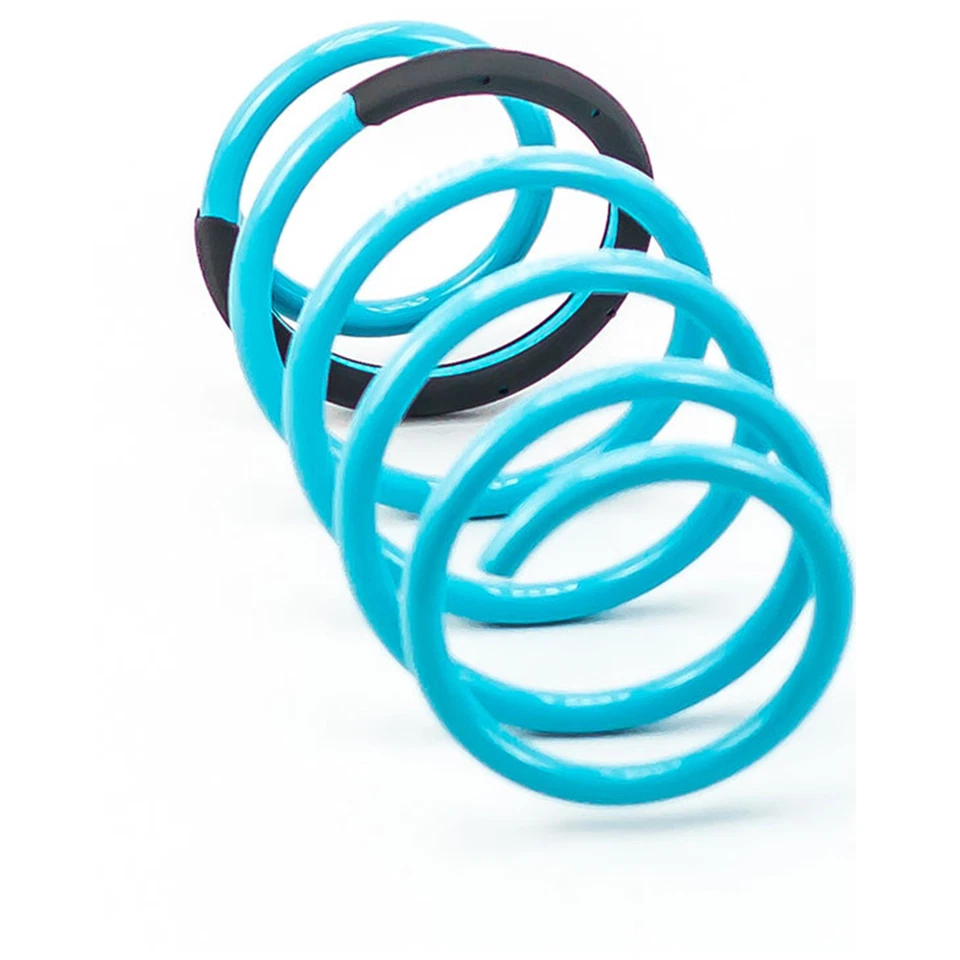 Resorte reductor Godspeed Traction-S Performance para Ford Fiesta 2011-2019 (MK6) Foto 4 de 4