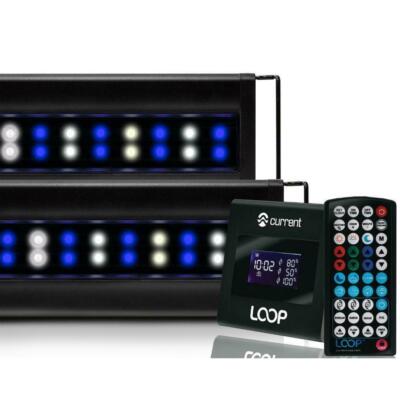 Orbit Marine 48''- 60'' IC LOOP PRO Dual LED System w/HUB - Current USA