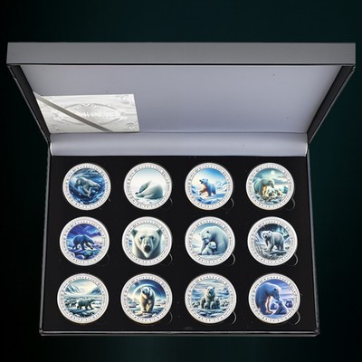 12 Stück Eisbär Polar Bear Coins Set Mit Geschenkbox Arctic Territories Münzen