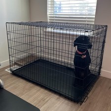 48 Inch Dog Crates for Large Dogs Folding 30.0"L x 48.0"W x 32.0"H, Black