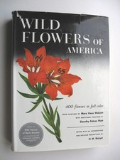 WILD FLOWERS OF AMERICA ~ H. W. Rickett HC/DJ 1953 ILLUS Walcott & Platt - 34