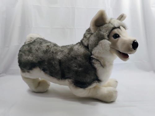 Douglas Cuddle Toys Siberian Husky Wolf Retired 27” Large Made in USA Rare