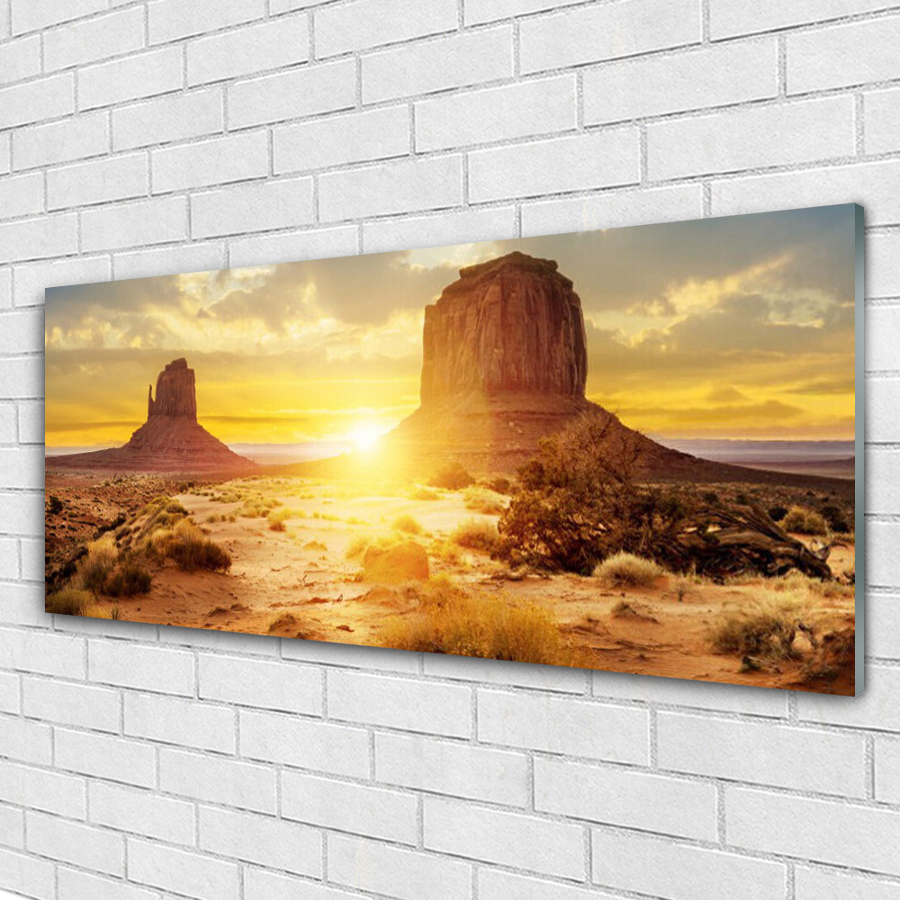 Tableau plexiglas désert et soleil 125x50cm pour décoration murale panoramique