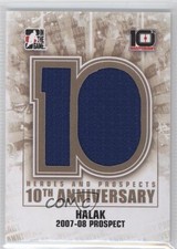 2013-14 ITG Heroes and Prospects /50 Jaroslav Halak #AP-45 2a8