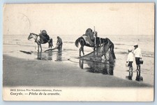 Coxyde (Koksijde) Belgium Postcard Shrimp Fishing Horses Beach Fisherman 1907