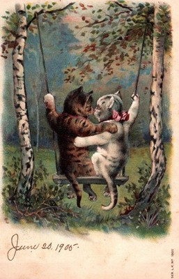 Two Kittens Kissing on Tree Swing - Romantic 1900 Postcard